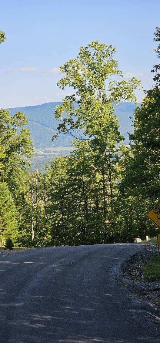 Property Photo: Lot 561 Bluff View Drive TN 37327