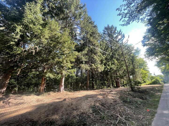 Property Photo:  6599 Terry Lane  MI 49125 