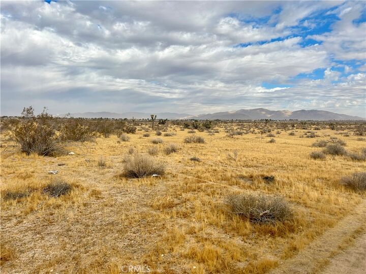 Property Photo:  65 Kiowa  CA 92308 