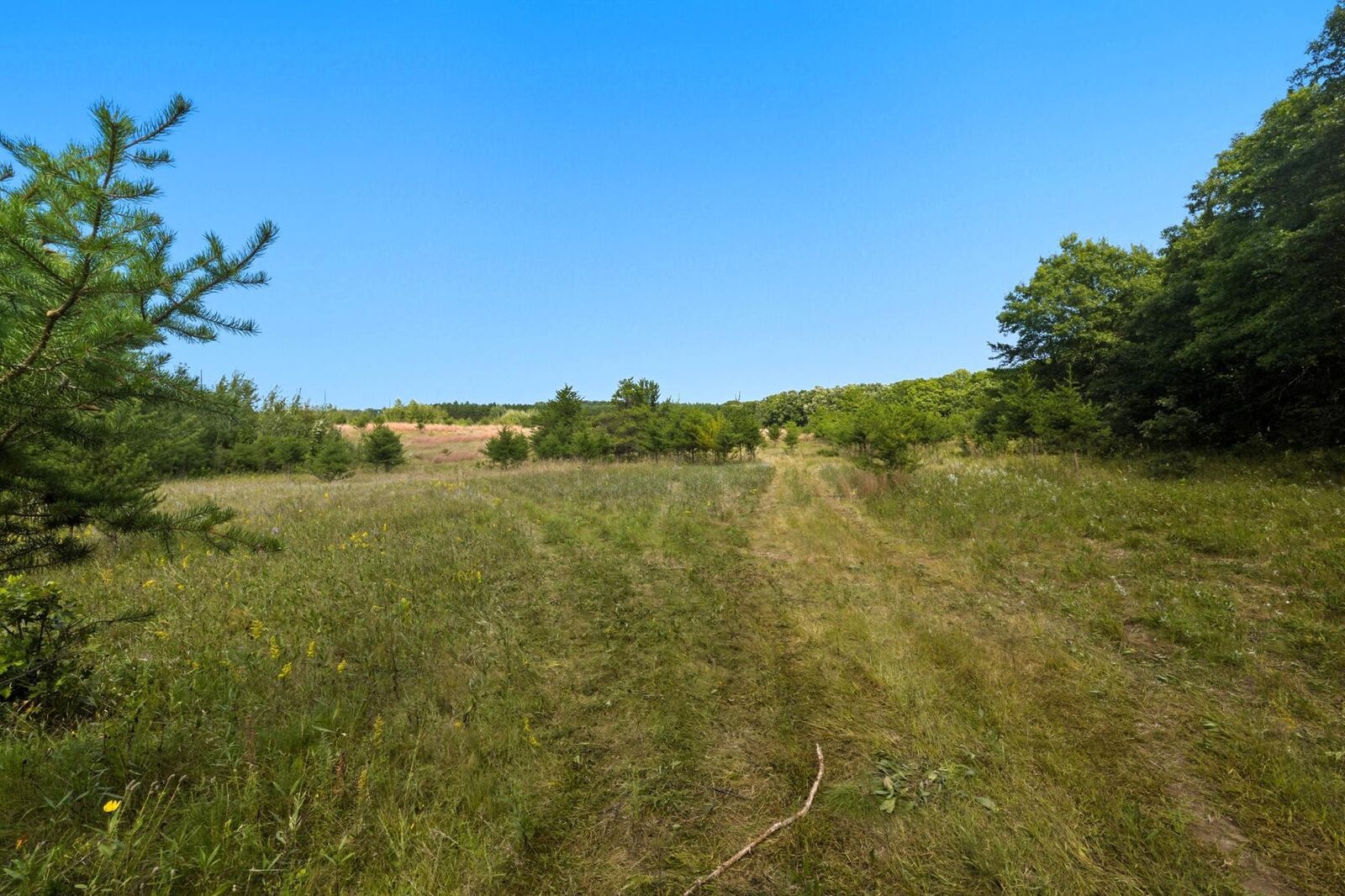 Property Photo:  Tract B County 18 SW  MN 56401 