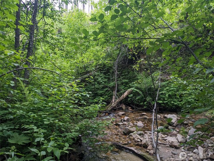 Property Photo:  0 Tbd  Bia Road 56  WA 99155 