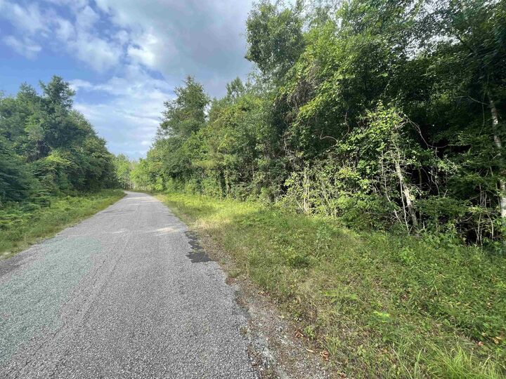 Property Photo:  Tract 2 County Road 786  TX 77612 