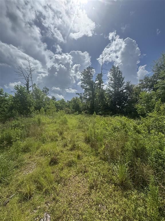 Property Photo: 3740 & 3822 Dunn Ferry Road LA 70611