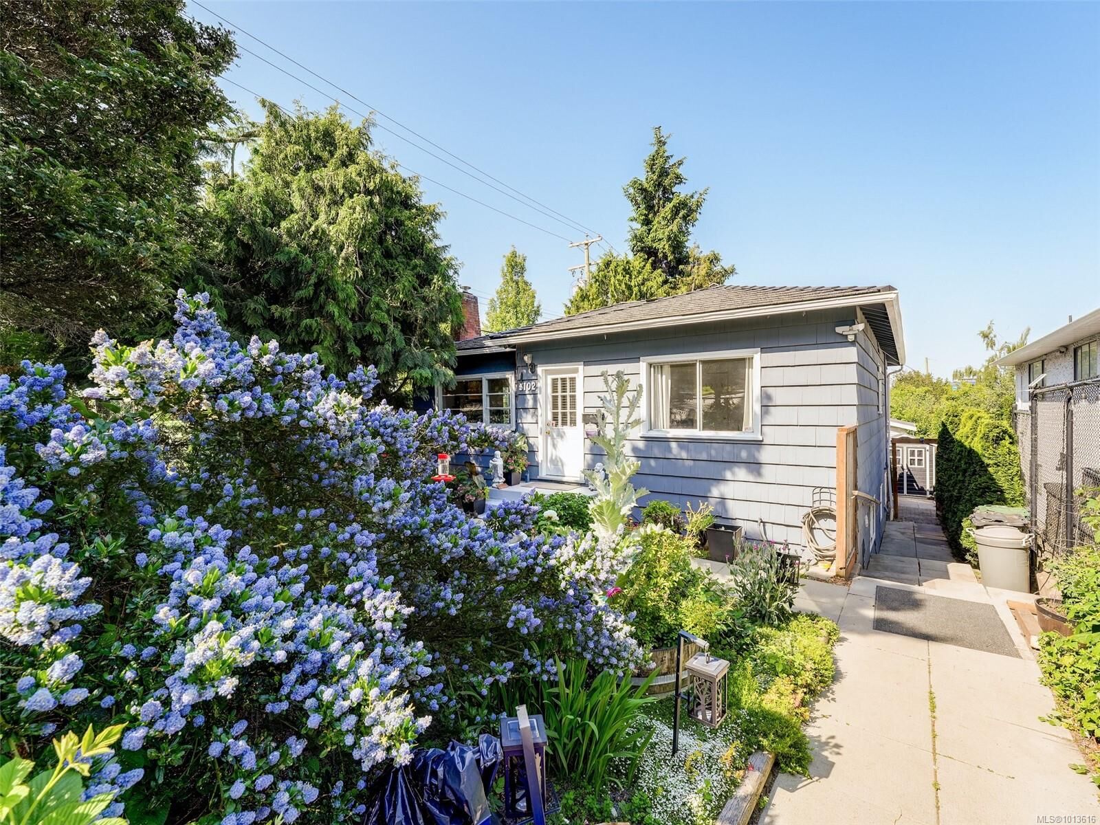Property Photo:  3102 Yew St  BC V8X 1M8 
