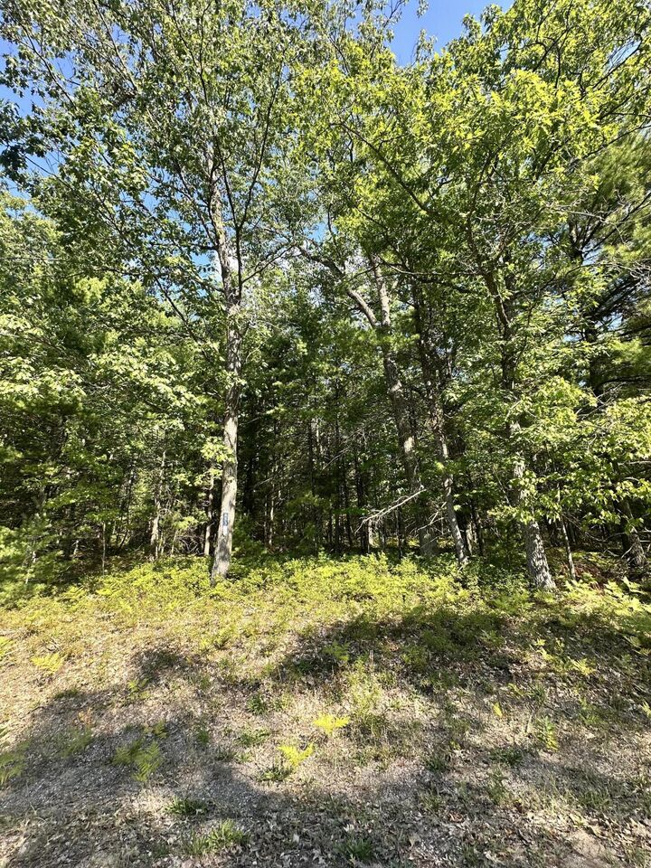 V/L 0.77ac Fantasy Drive  Frederic MI 49733 photo