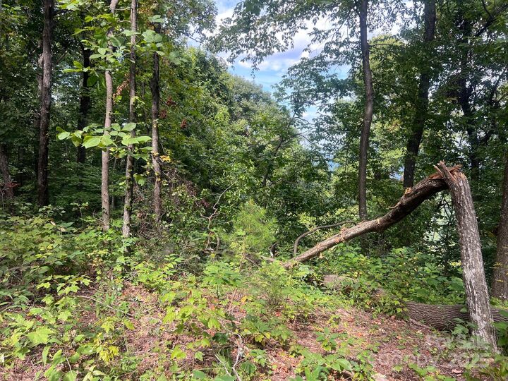 Property Photo:  6792 Silver Creek Lane  NC 28655 