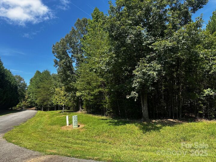 0000 Lake Haven Drive  Lake Lure NC 28746 photo