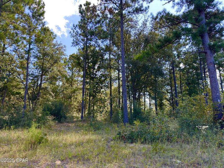 Lot 24 Fairview Road  Marianna FL 32448 photo