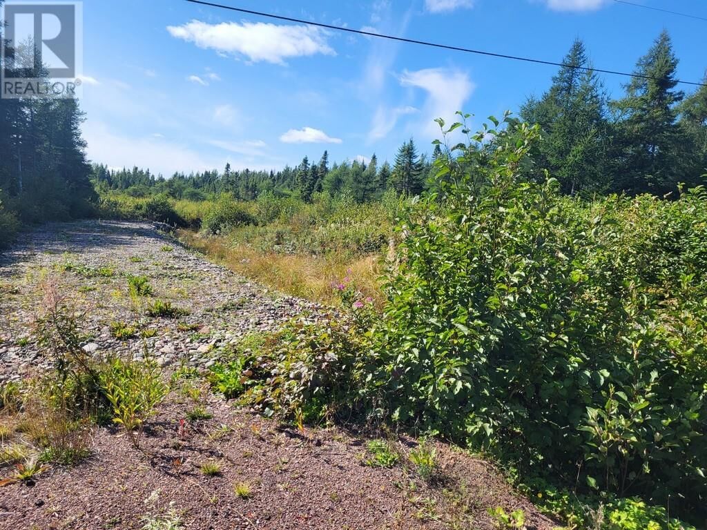 Property Photo:  45 Main Street  NL A0H 1E0 