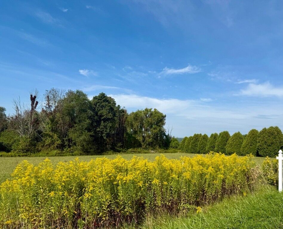 Property Photo:  Pettis Road  PA 16335 