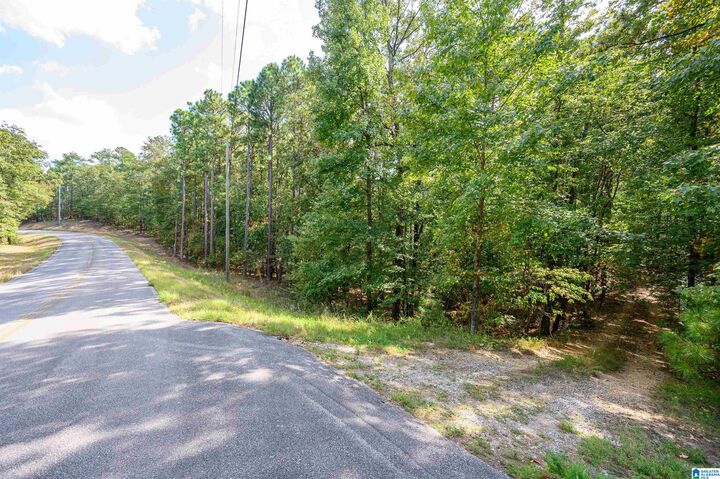 00 Deer Run Road 00  Alabaster AL 35007 photo