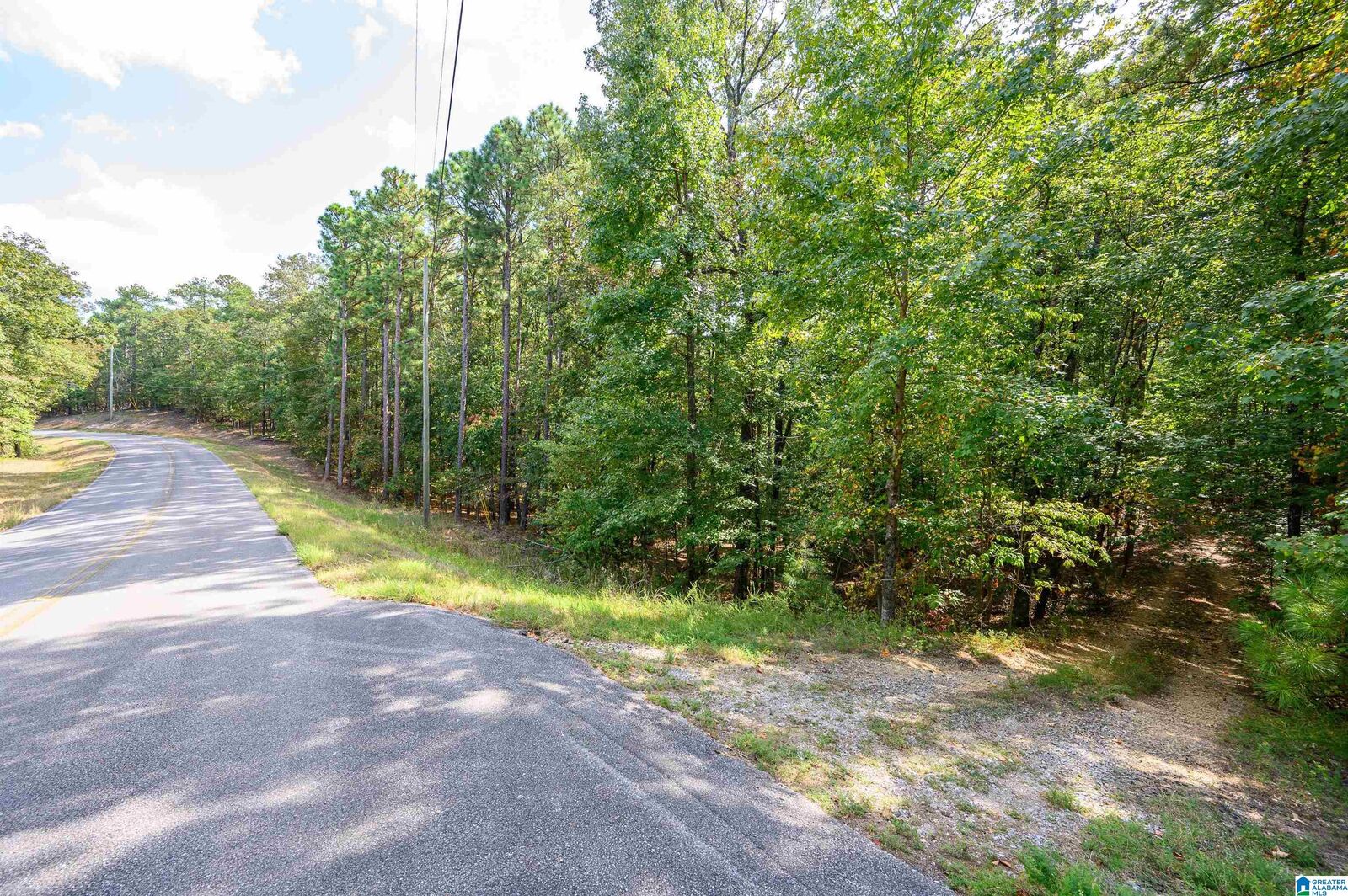 Property Photo: 00 Deer Run Road 00 AL 35007