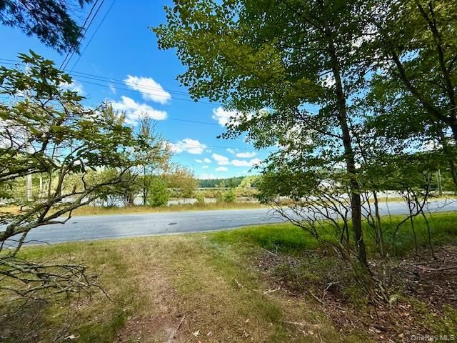 Property Photo:  469 White Road  NY 12737 