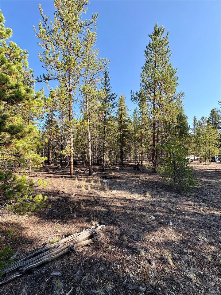 Property Photo:  776 Birch Drive  CO 80461 