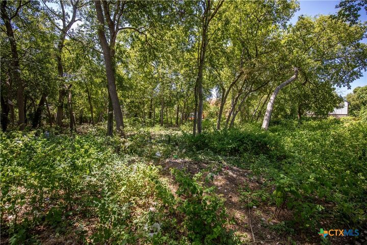 Property Photo: 215 Poppy Street TX 78203