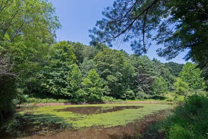 Property Photo:  2642 Madam Creek  WV 25951 