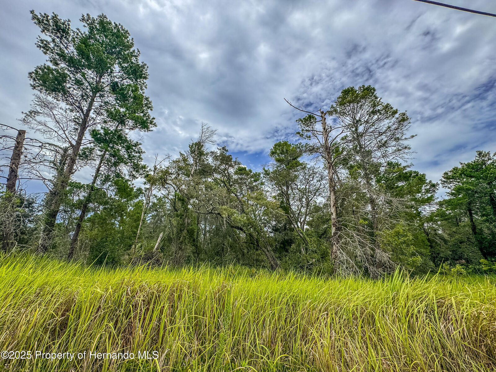 Property Photo:  0 Bahama Swallow Avenue  FL 34613 