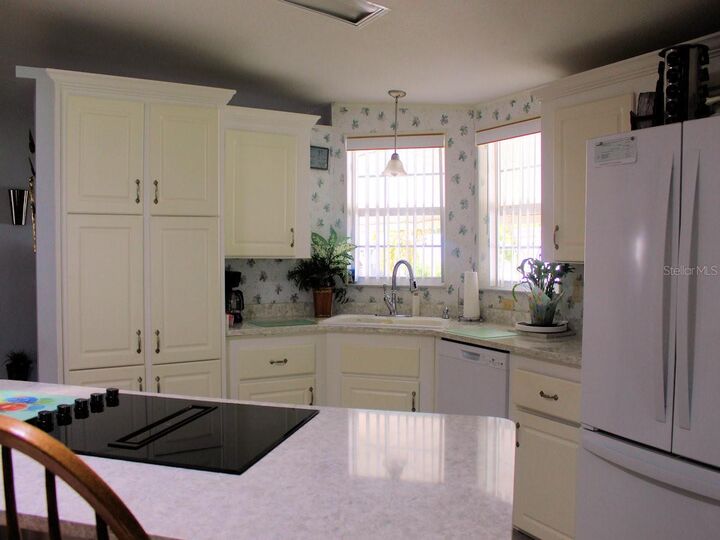 Property Photo: 25 Thatch Palm Street W FL 33770