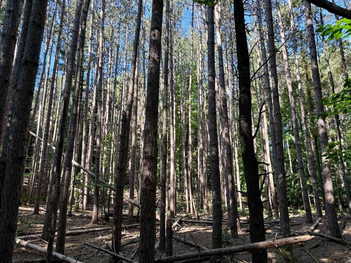 18 W Woodrow Road  Shelby MI 49455 photo