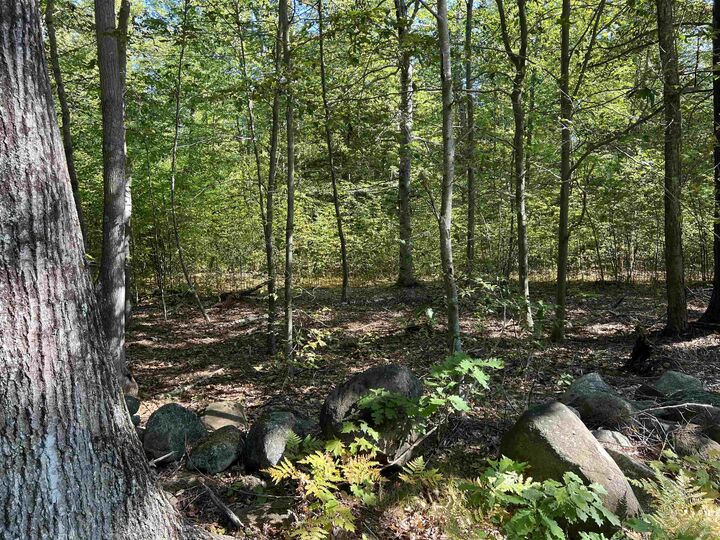 Property Photo: Farrington Corner Road NH 03229