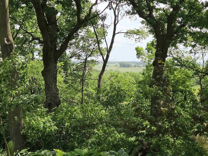 Property Photo:  Vacant Lot Sandy Oak Drive  WI 54665