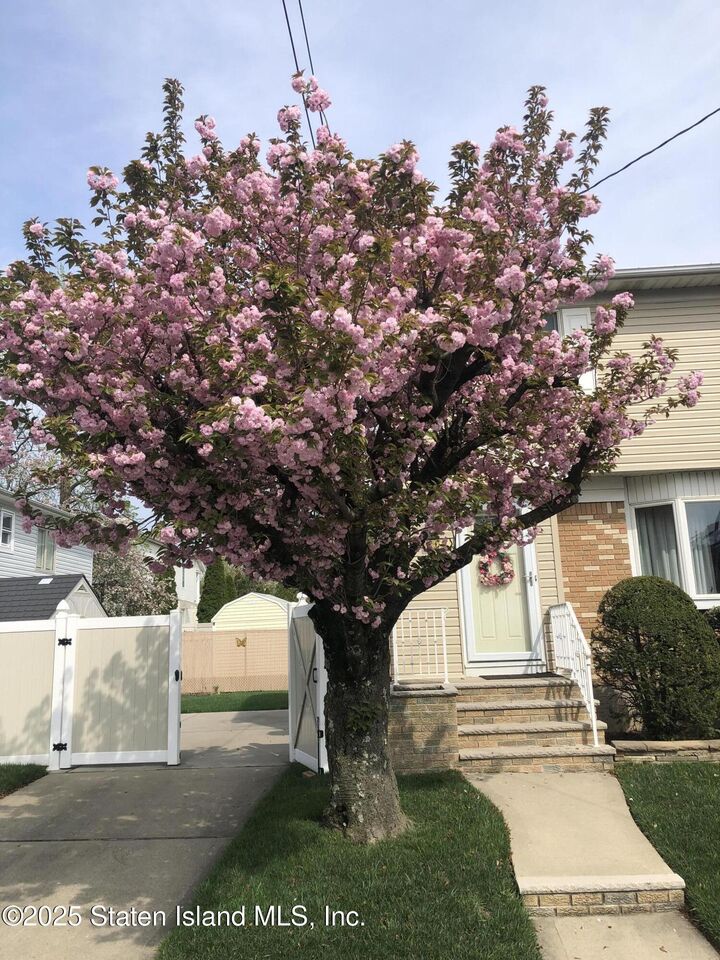 Property Photo: 207 Martin Avenue NY 10314