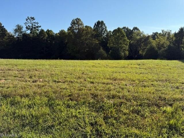 Lot 35 Frank Joyce Road  Sandy Ridge NC 27046 photo