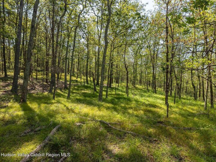 Property Photo:  00 Dug Hill  NY 12443 