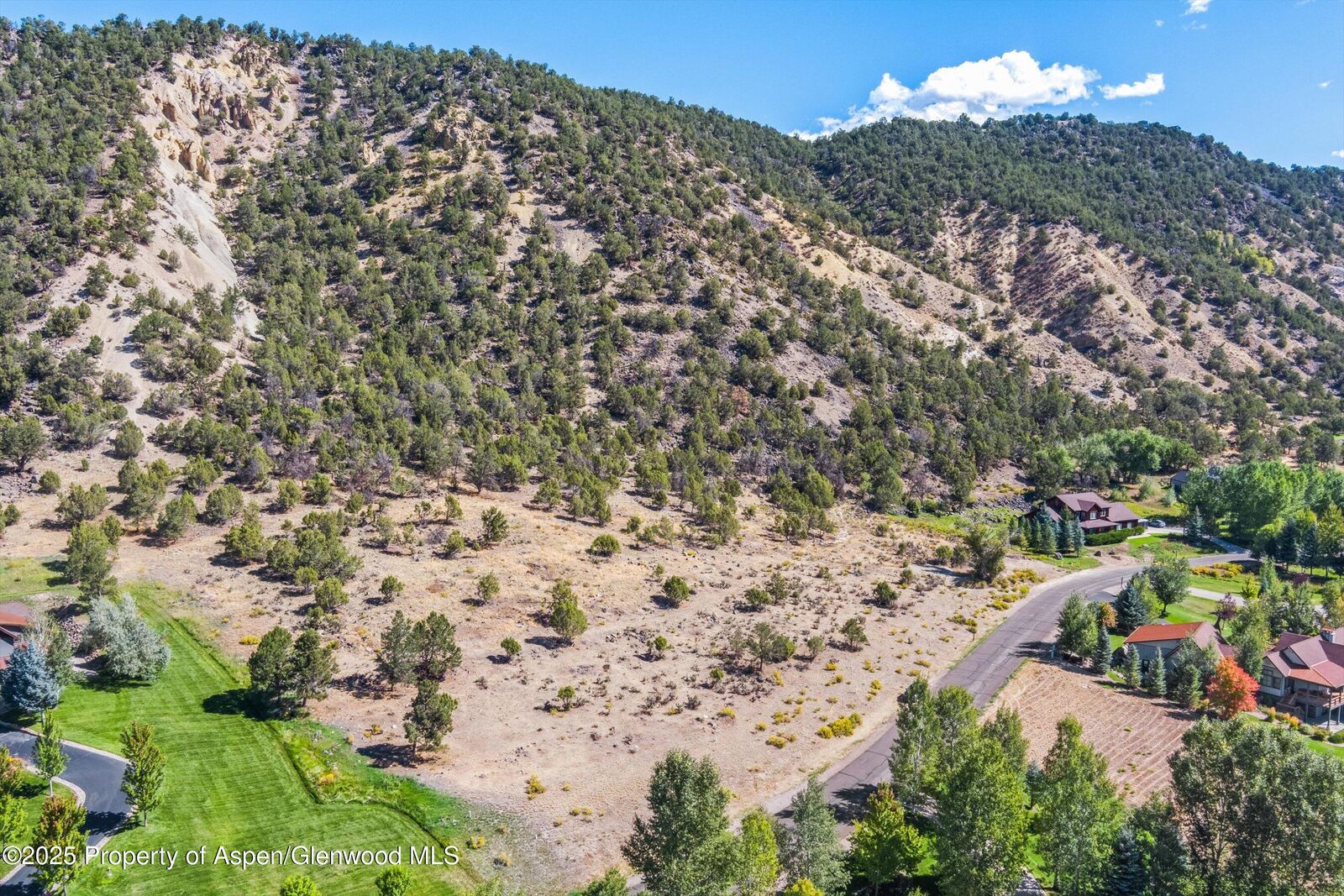 Property Photo:  364 Larkspur Drive  CO 81623 