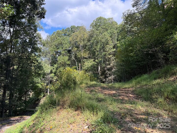 Tbd Guntertown Road  Marshall NC 28753 photo