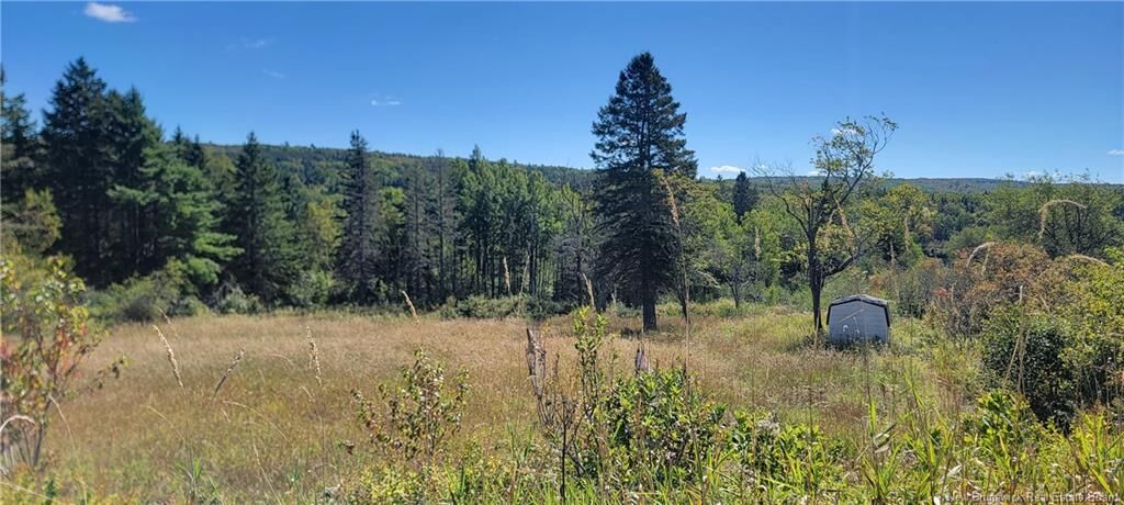 Property Photo:  Lot 01-1 Route 121  NB E5T 4Z5 