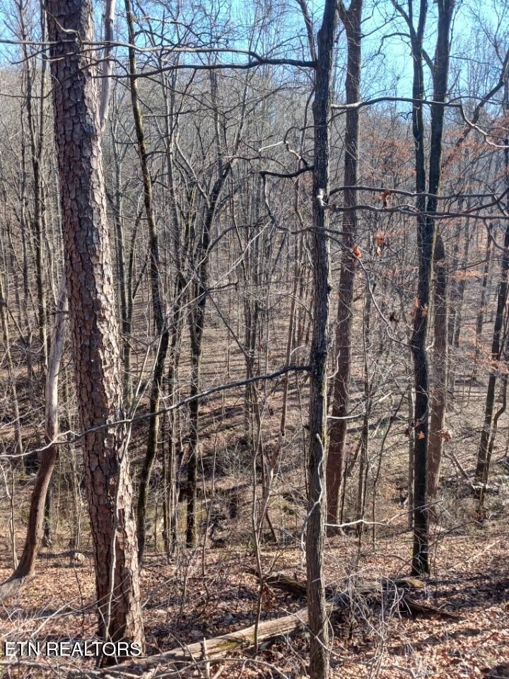 Property Photo:  311 Roberts Mill Rd  TN 37343 