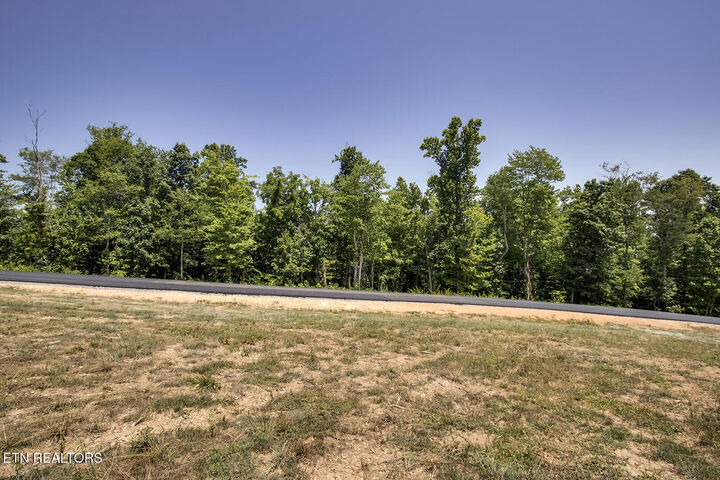 Property Photo:  135 Canter Way  TN 37771 