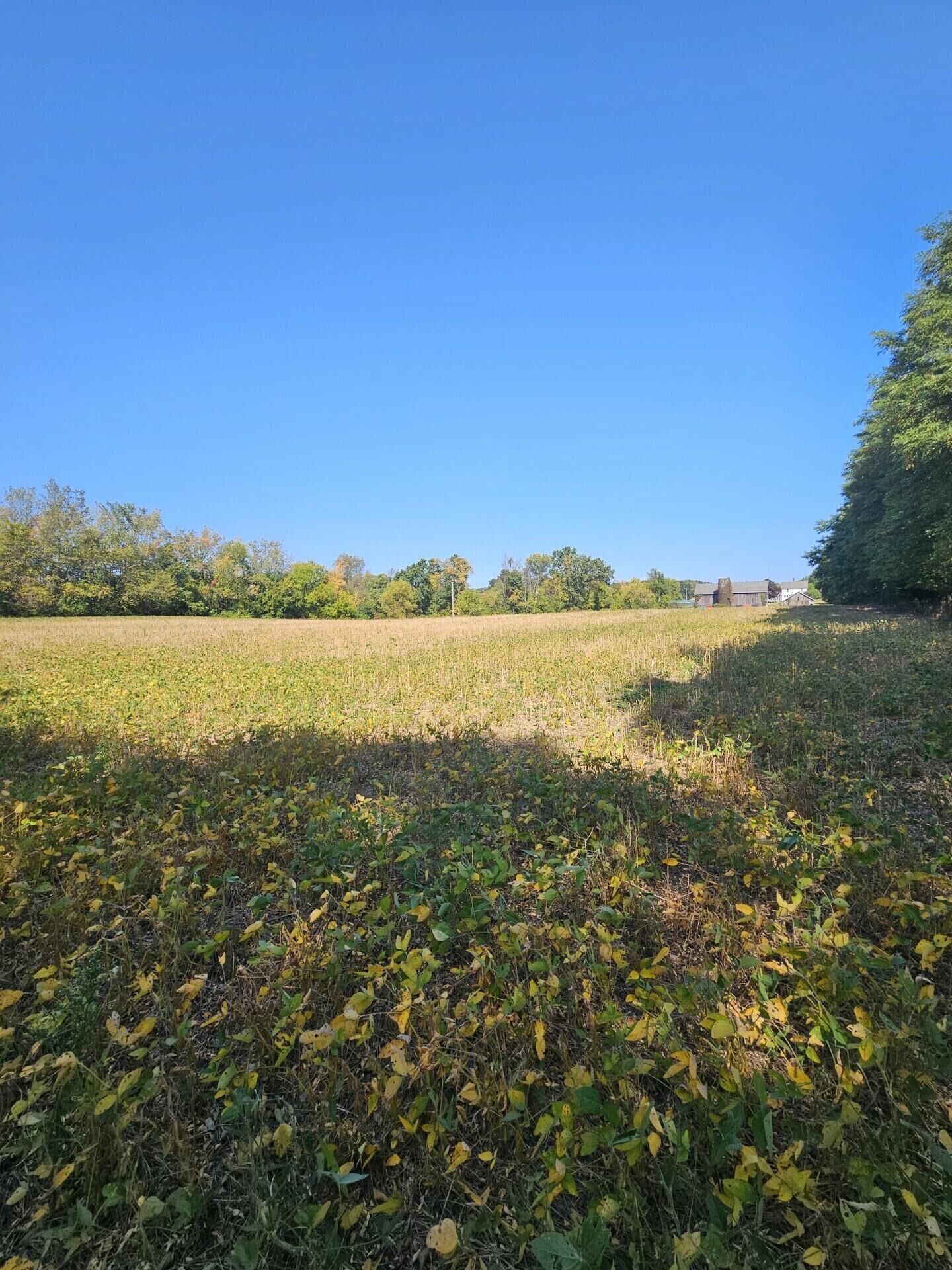 Property Photo:  Vl Thorne Road  MI 49246 