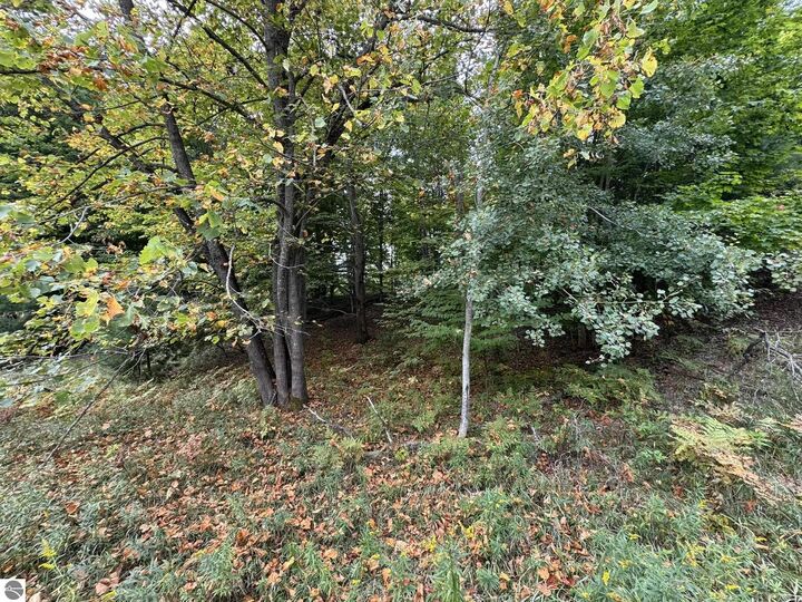 Property Photo:  Lot 5 E Old Mountain Road  MI 49621 