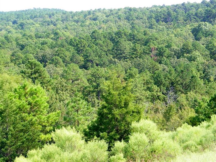Property Photo: Mountain Road OK 74957