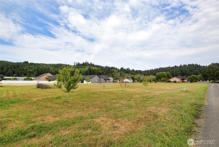 Property Photo:  0  Strueby Lane  WA 98612 