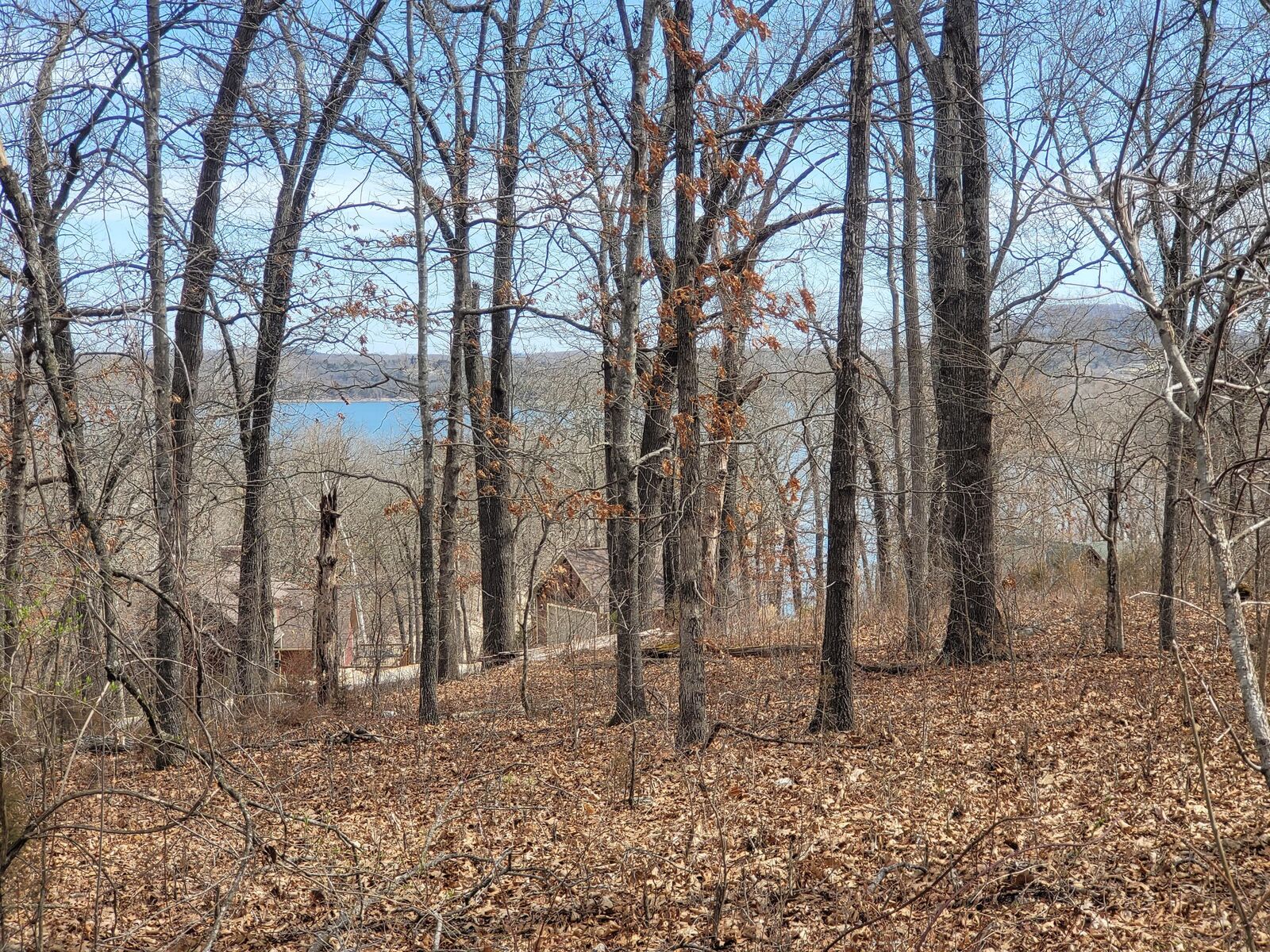 Property Photo: 60 Green Cypress Lane MO 65747