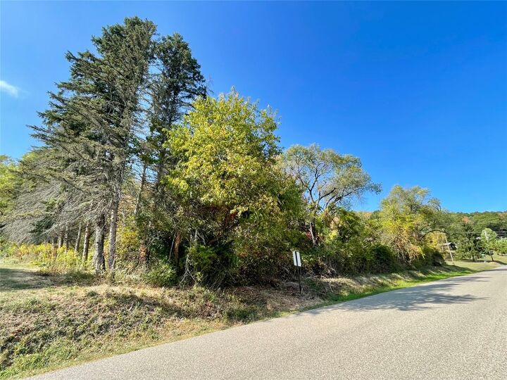 Property Photo: 0 Greenridge Drive NY 14892