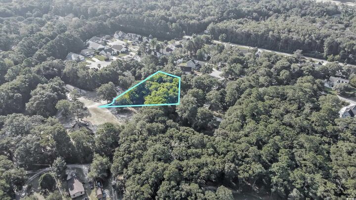 Property Photo:  Lot 3 Shun Ave  SC 29576 