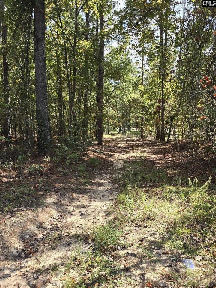 Property Photo:  1646 Baughman  SC 29045 