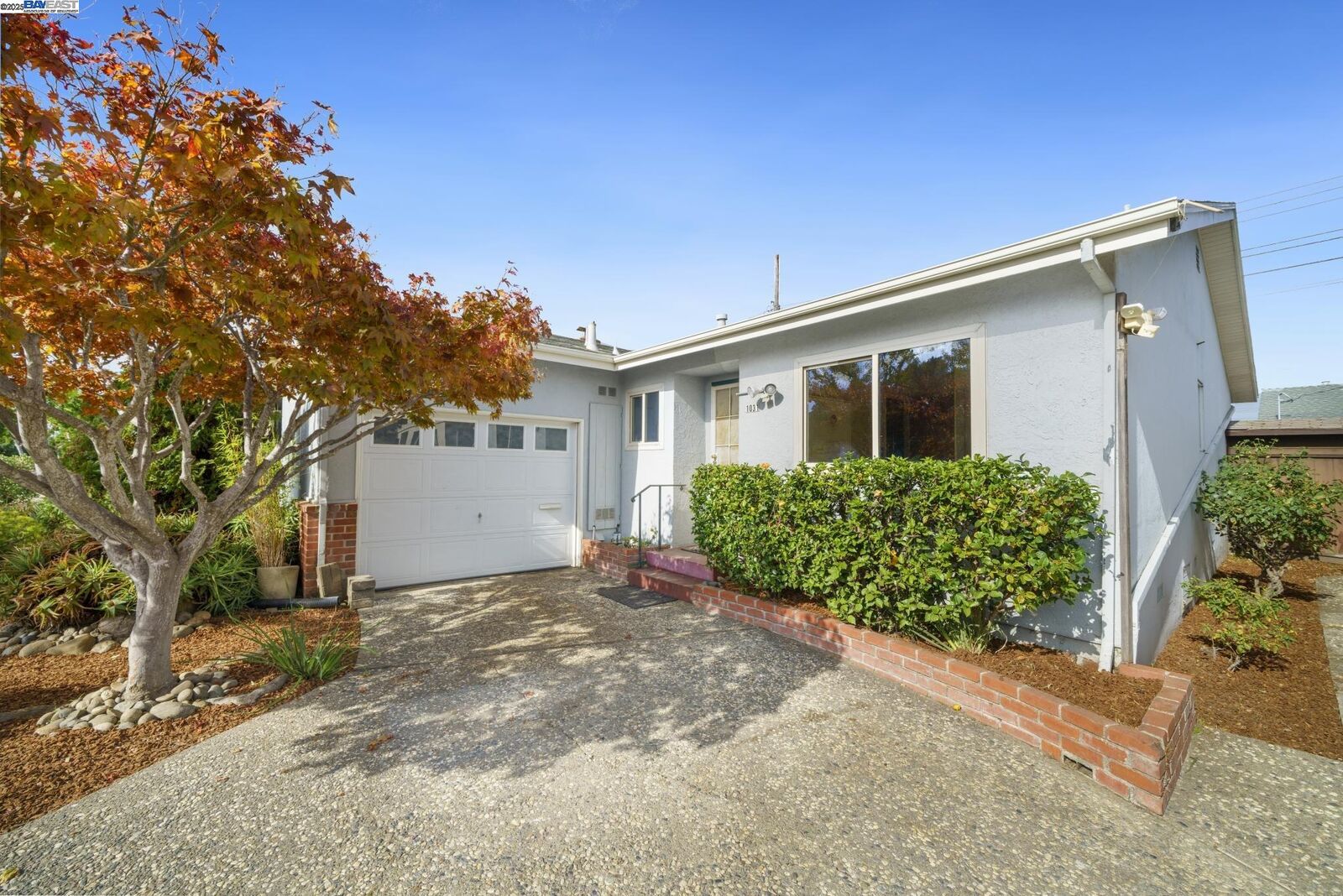 Property Photo:  1031 Camellia Dr  CA 94502 