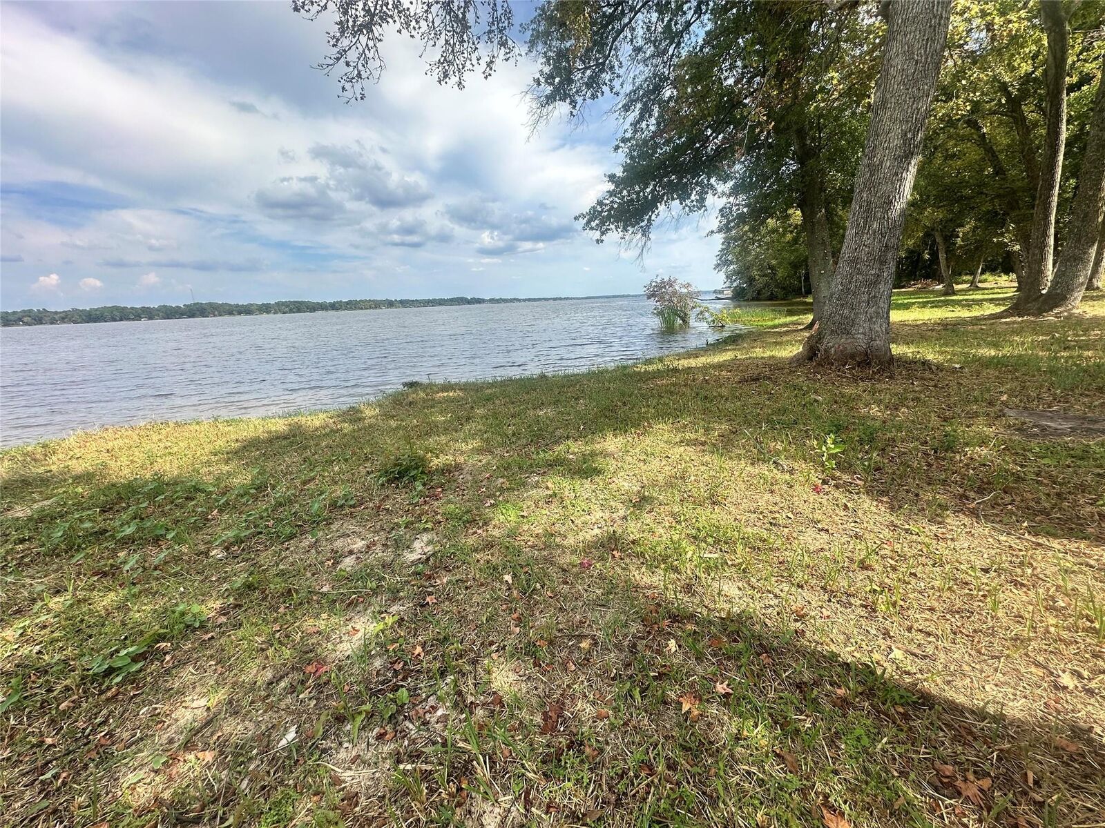 Property Photo:  3709 Pine Wood Trail  TX 75770 