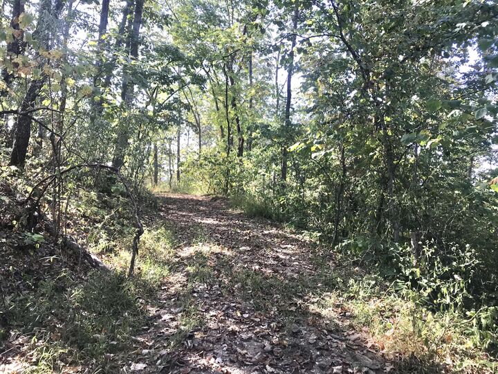 Property Photo: 35 Acres Land Middle Creek Road KY 41171