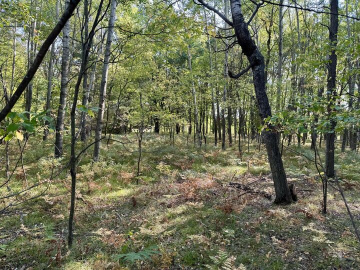 Property Photo: 6742 Abbey Lane MI 49346