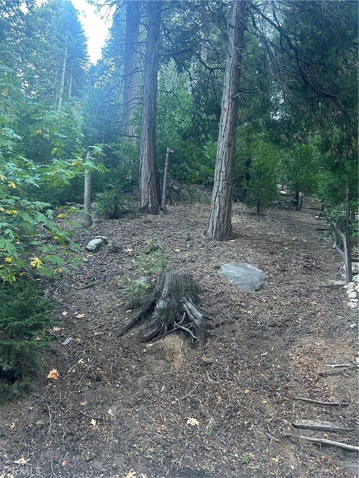 0 Nesthorn Drive  Crestline CA 92325 photo