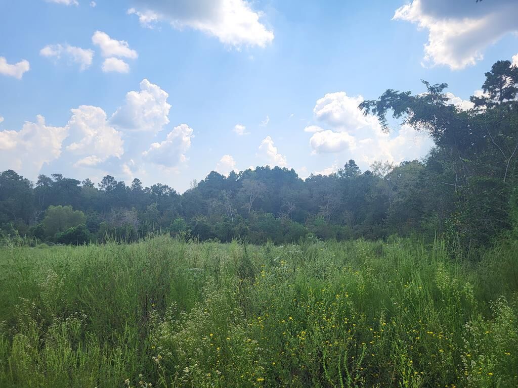 Property Photo:  667 Fm 3228  TX 75964 