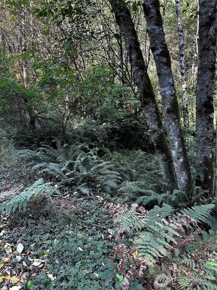 Property Photo: 14413 109th Street SW WA 98329