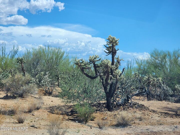 Property Photo:  14485 W Diamond Bell Ranch Road 403  AZ 85736 