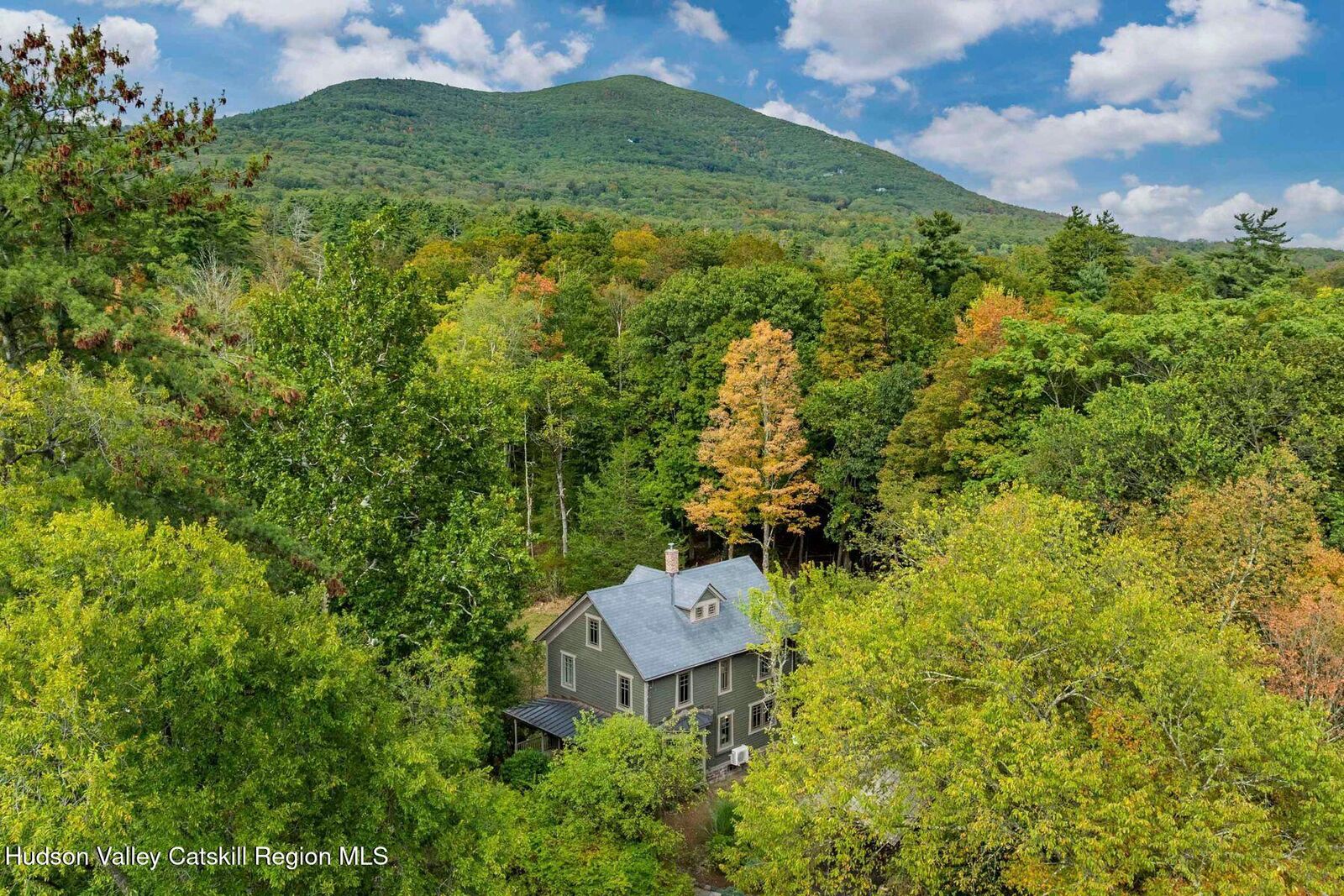 Property Photo:  64 Lower Byrdcliffe  NY 12498 